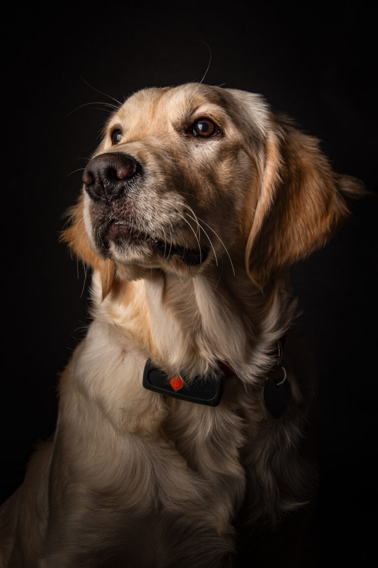 Séance Animalière dsc3245hd 2