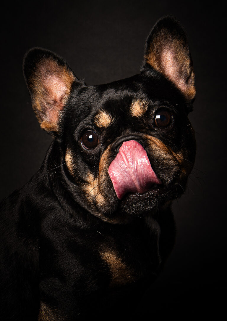 Séance Animalière dsc3298hd 2