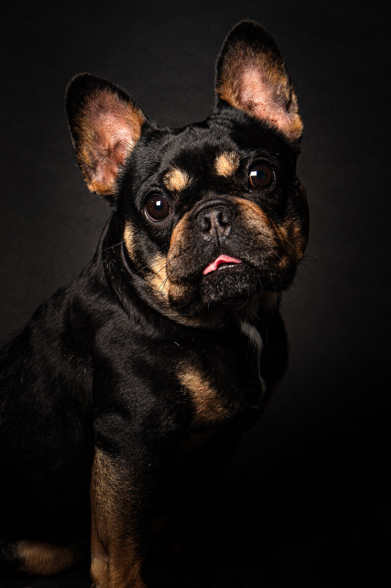 Séance Animalière dsc3299hd 2