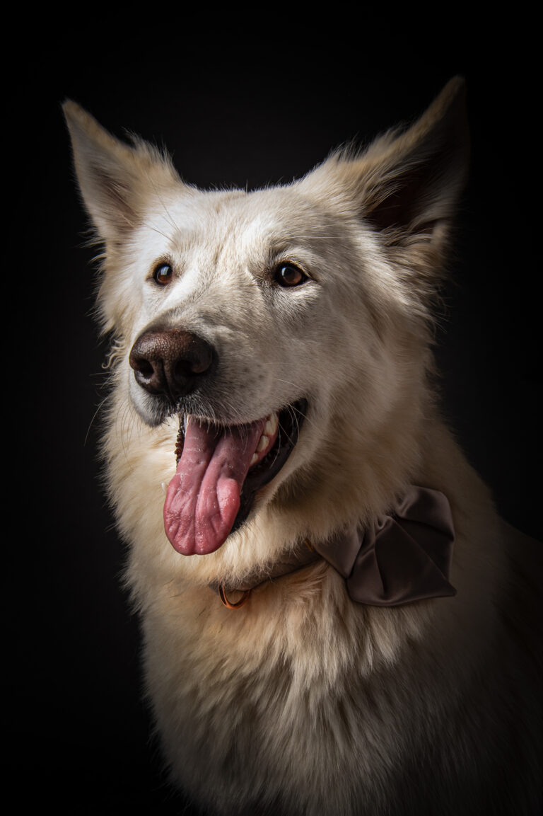 Séance Animalière dsc3596hd 2