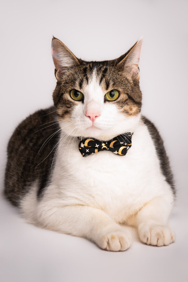 Séance Animalière dsc 4624 2