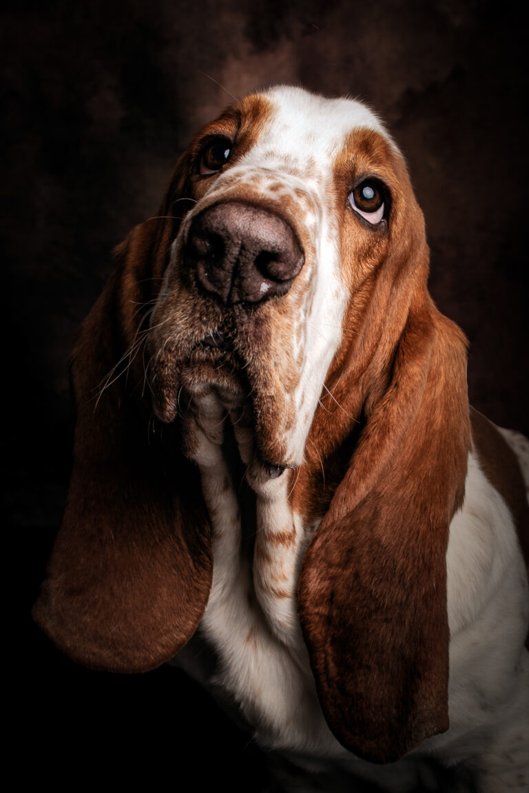 Séance Animalière dsc 5546 2