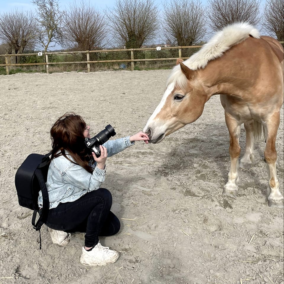 471255212 537411182631004 6265429804360917234 n