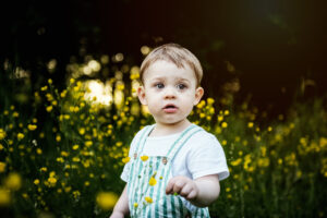 DSC 8586 Modifier 300x200